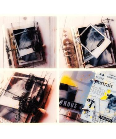 VIDEO CORSO MINI ALBUM FLORILEGES CON ERIKA