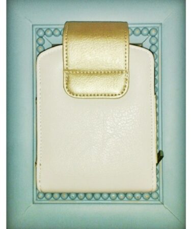 Custodia per macchina fotografica o per mini stampante.