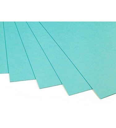 TAYLORED EXPRESSIONS - premium cardstock - cookie monster