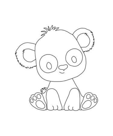 IL REGALO DI FABIOLA- IL PANDA DA COLORARE