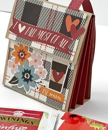 ZAINETTO PORTA TISANE -PRODOTTO CONTENITORE