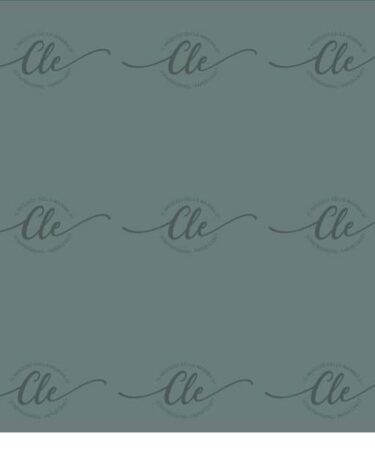 IL NEGOZIO DELLA MAMMA DI CLE-LE CARTE DELLA CLE - MY 12 TALES OF 2020NOVEMBRE N. 71