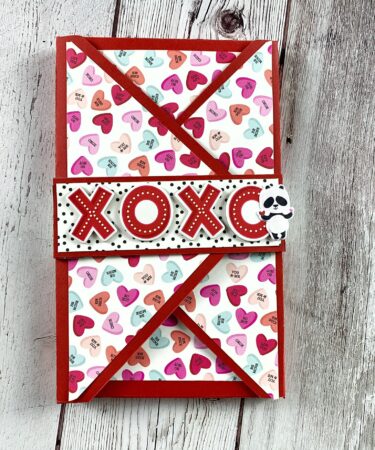 BUSTINA PORTA REGALINI - PRODOTTO CONTENITORE