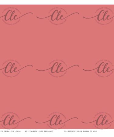 IL NEGOZIO DELLA MAMMA DI CLE -LE CARTE DELLA CLE - MY 12 TALES OF 2021 - FEBBRAIO N. 88