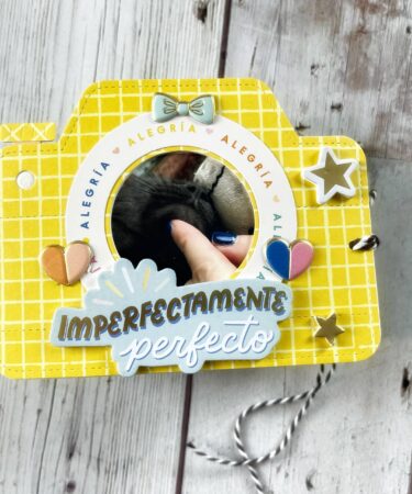 UN MINI ALBUM A FORMA DI FOTOCAMERA. - PRODOTTO CONTENITORE