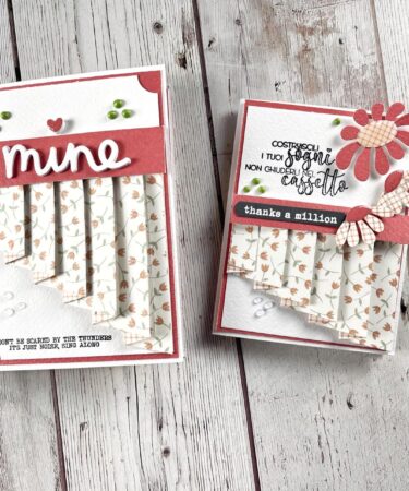 UNA CARD PLISSETTATA E POP UP.... PRODOTTO CONTENITORE