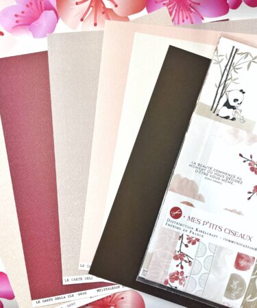 CARTE BASIC COORDINATE CON COLLEZIONE HARMONIE - PRODOTTO CONTENITORE