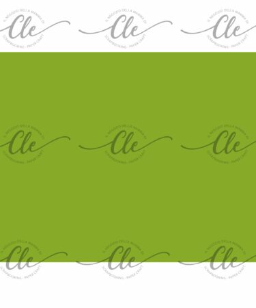 IL NEGOZIO DELLA MAMMA DI CLE -LE CARTE DELLA CLE - MY 12 TALES OF 2021 - LUGLIO - CARTA PER RIVESTIMENTO N. 105