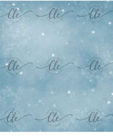 LE CARTE DELLA CLE - COLLEZIONE LA MIA RICETTA DI NATALE - ACETATO NUM. 20