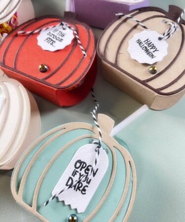 Alternative view of TANTE ZUCCHETTE PER VOI- PRODOTTO CONTENITORE