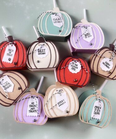 TANTE ZUCCHETTE PER VOI- PRODOTTO CONTENITORE