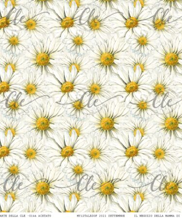 IL NEGOZIO DELLA MAMMA DI CLE -LE CARTE DELLA CLE – MY 12 TALES OF 2021 - SETTEMBRE - ACETATO NUM. 144