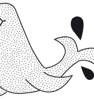 KaiserCraft - t Mini Clear Stamp Seal (Seehund)