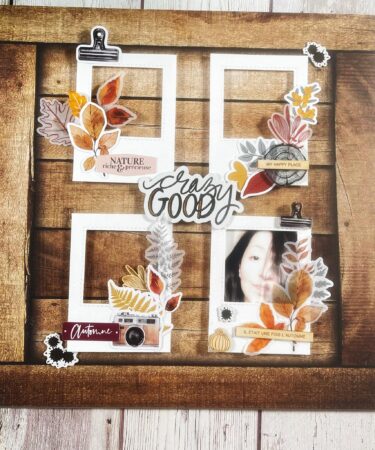 TERRE DES SENS- LAYOUT PRODOTTO CONTENITORE