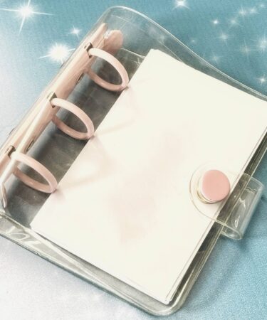 IL NEGOZIO DELLA MAMMA DI CLE- MINI QUADERNETTO AD ANELLI CON COPERTINA TRASPARENTE - ROSA