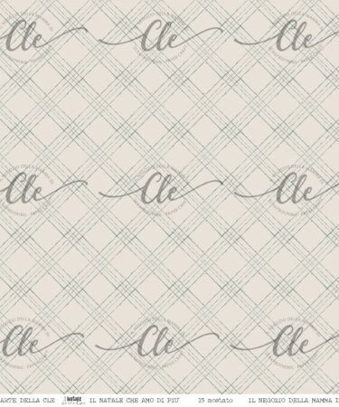 IL NEGOZIO DELLA MAMMA DI CLE -LE CARTE DELLA CLE - COLLEZIONE IL NATALE CHE AMO DI PIÙ - ACETATO NUM. 15