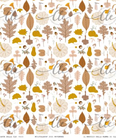 IL NEGOZIO DELLA MAMMA DI CLE - LE CARTE DELLA CLE - MY 12 TALES OF 2021 - NOVEMBRE NUM 155