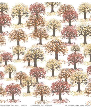 LE CARTE DELLA CLE – MY 12 TALES OF 2021 - NOVEMBRE - ACETATO NUM.162