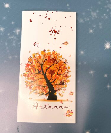 IL NEGOZIO DELLA MAMMA DI CLE - TRAVELER NOTEBOOK INSERTO - AUTUNNO