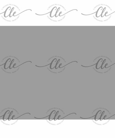 LE CARTE DELLA CLE - MY 12 TALES OF 2022 - FEBBRAIO - CARTA PER RIVESTIMENTO N. 166