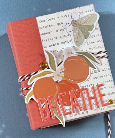 MINI ALBUM - RESPIRO- PRODOTTO CONTENITORE