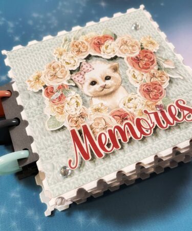 MINI DISC ALBUM - THE APPLE SEASON - PRODOTTO CONTENITORE