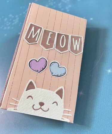 MINI ALBUM MICIOSO- PRODOTTO CONTENITORE