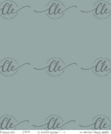 IL NEGOZIO DELLA MAMMA DI CLE -LE CARTE DELLA CLE – COLLEZIONE IL NOSTRO GIORNO- CARTA NUM. 5