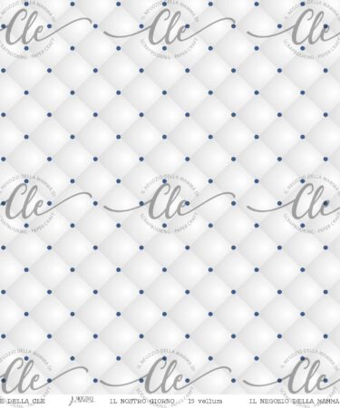 IL NEGOZIO DELLA MAMMA DI CLE -LE CARTE DELLA CLE – IL NOSTRO GIORNO- CARTA VELLUM 15