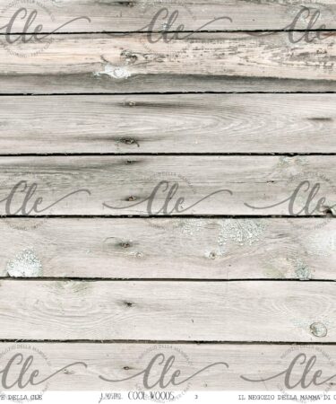 IL NEGOZIO DELLA MAMMA DI CLE -LE CARTE DELLA CLE – COOL WOODS NUM.3 - COLLEZIONE IL NOSTRO GIORNO