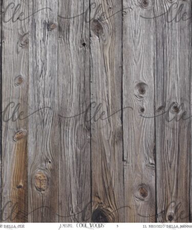 IL NEGOZIO DELLA MAMMA DI CLE -LE CARTE DELLA CLE – COOL WOODS NUM.5 - COLLEZIONE IL NOSTRO GIORNO