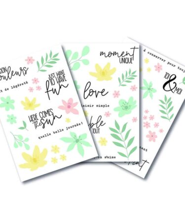 HA PI Little Fox -Transferts Good day sunshine