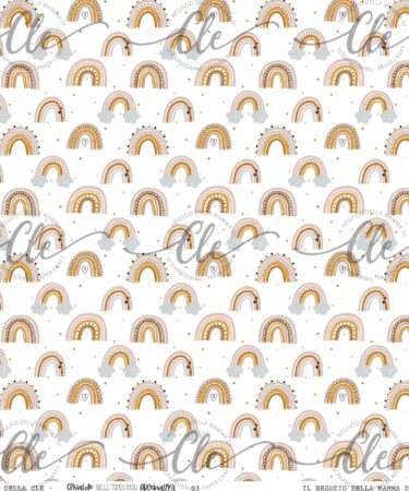 IL NEGOZIO DELLA MAMMA DI CLE - LE CARTE DELLA CLE - OSVALDO NELLA TERRA DEGLI ARCOBALENI - CARTA NUM. 3