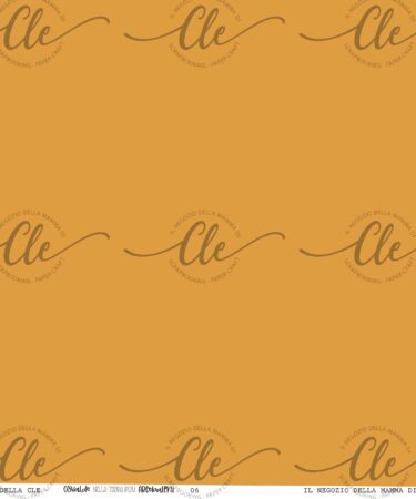 IL NEGOZIO DELLA MAMMA DI CLE - LE CARTE DELLA CLE - OSVALDO NELLA TERRA DEGLI ARCOBALENI - CARTA NUM. 6