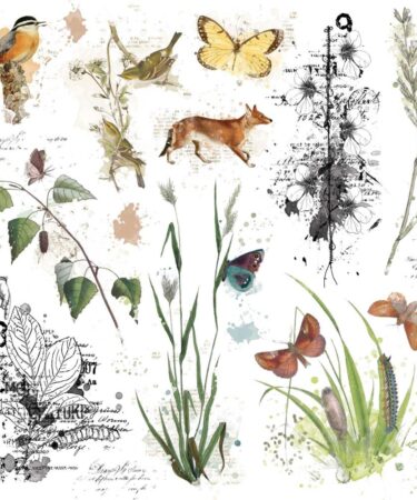 49 And Market - Collezione Curators Essential - Foglio 12x12 di Rub-Ons