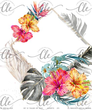 IL NEGOZIO DELLA MAMMA DI CLE - LE CARTE DELLA CLE - MY 12 TALES OF 2022 - AGOSTO NUM. 221