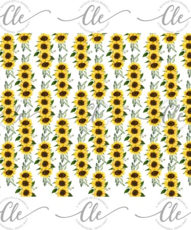 LE CARTE DELLA CLE - MY 12 TALES OF 2022 -SETTEMBRE - CARTA PER RIVESTIMENTO N. 208