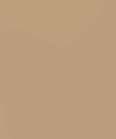 BAZZILL Basics Paper Card Shoppe Heavy Weight Cardstock 8.5x11", Chocolate Malt