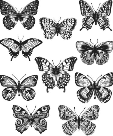 Tim Holtz Cling Stamps 7"X8.5" - Flutter