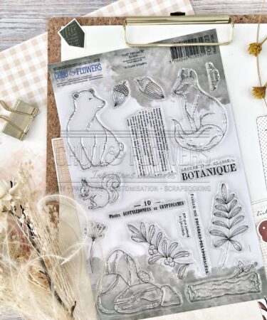 CHOU & FLOWERS - TIMBRO CLEAR EN FORET