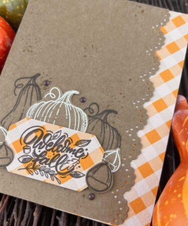 Alternative view of TOMMY ART - Tommy clear stamps – Cute Raccoon – Design by CeciliaDoingArt