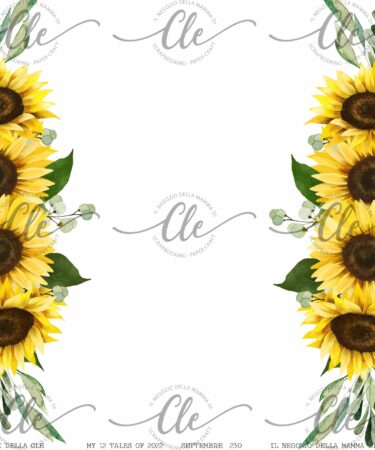 IL NEGOZIO DELLA MAMMA DI CLE - LE CARTE DELLA CLE - MY 12 TALES OF 2022 SETTEMBRE NUM. 230