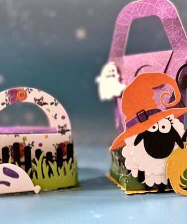 LE SCATOLINE PER LO SWAP - PRODOTTO CONTENITORE