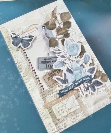 LA MIA TAI -MINI ALBUM CON 49 & MARKET - PRODOTTO CONTENITORE