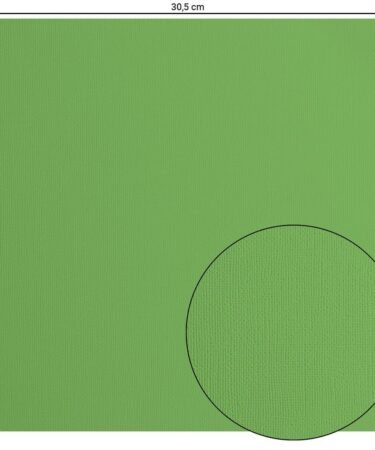 Florence cardstock textured - MOSS