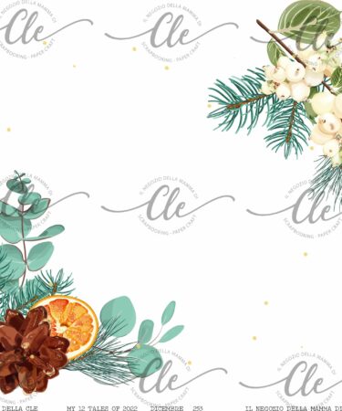 IL NEGOZIO DELLA MAMMA DI CLE - LE CARTE DELLA CLE - MY 12 TALES OF 2022 - DICEMBRE NUM. 253