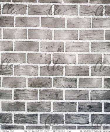 IL NEGOZIO DELLA MAMMA DI CLE - LE CARTE DELLA CLE - MY 12 TALES OF 2022 NOVEMBRE NUM. 246