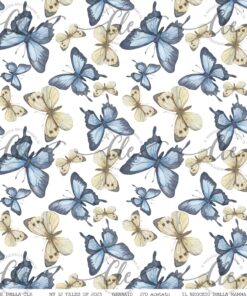 LE CARTE DELLA CLE – MY 12 TALES OF 2023 – GENNAIO - ACETATO NUM 270