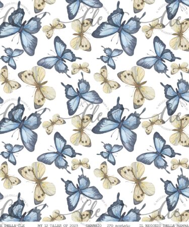 LE CARTE DELLA CLE – MY 12 TALES OF 2023 – GENNAIO - ACETATO NUM 270