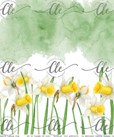 LE CARTE DELLA CLE – MY 12 TALES OF 2023 – APRILE - ACETATO NUM 303